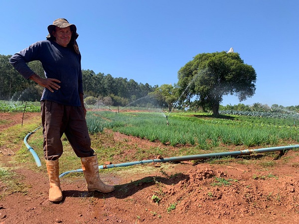 Lavouras de verduras também sofrem com o calor escaldante