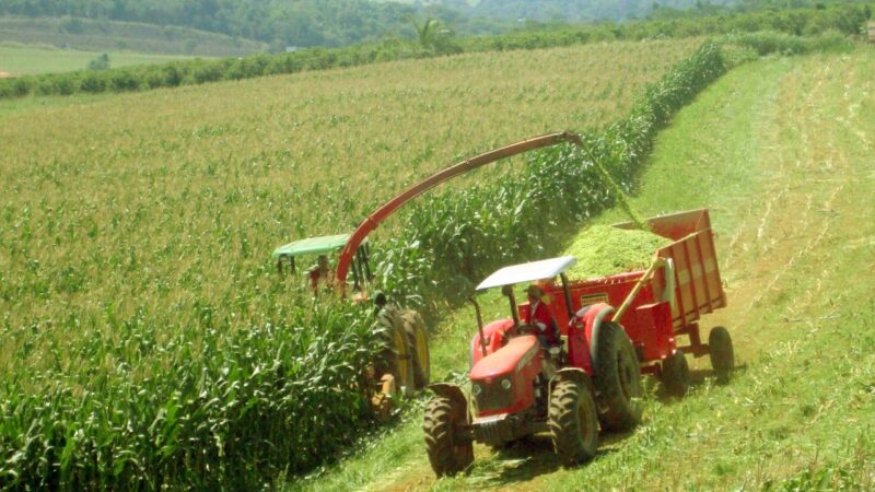 Agro paulista registra superávit de US$ 14,4 bilhões em 8 meses