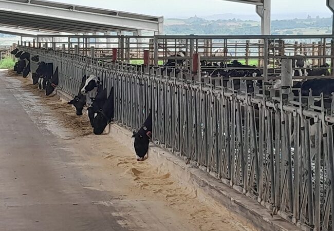 Alunos da Fatec visitam fazenda que produz 53 mil litros de leite por dia