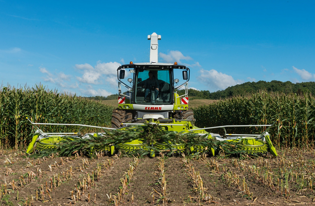 Valor da Produção Agropecuária deve atingir R$ 1,159 trilhão este ano