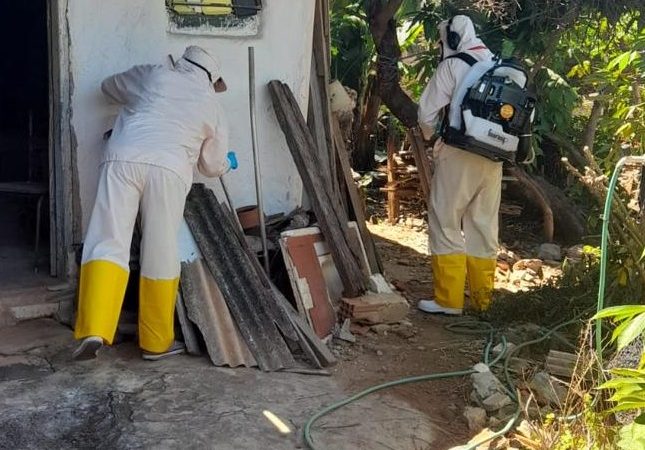 Jardim Raquel teve o maior número de casos de dengue