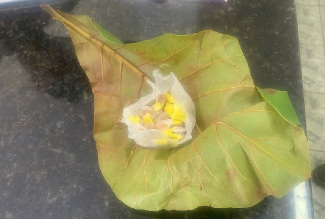 Na Praça do Protocolo árvore agora dá ‘Flor de Crack’
