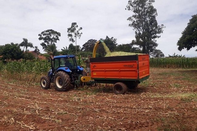 Dia Mundial da Agricultura é comemorado pela SAMA