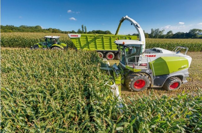 Agronegócio cresce 15,1% em 2023 e puxa o PIB brasileiro