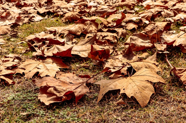 Outono começa amanhã e deve amenizar o calorão infernal  