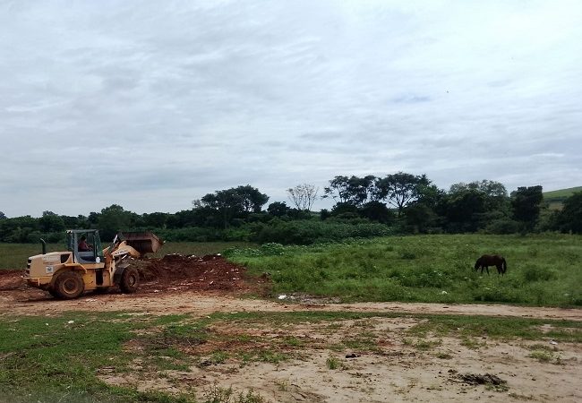 Há 11 anos, Fera do Della Rocha 2 assustava os moradores