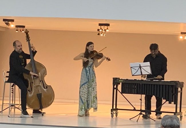 Ensemble Choro Erudito levou bom público ao ‘Clássicos’