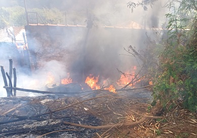 Fiscalização autua mulher que colocou fogo em terreno no São Judas   