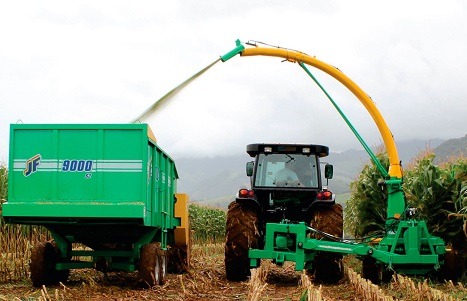 Superávit do Agro Paulista cresce 9,25% no acumulado de 2024