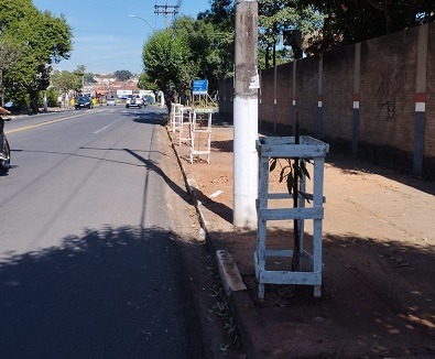 Pesquisa de biólogo da SAMA destaca benefícios da arborização urbana para a saúde