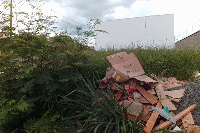 Decreto obriga dono de terreno a fazer a limpeza em até 30 dias