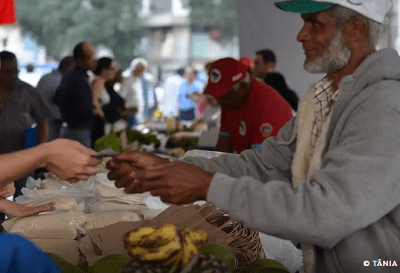 Programa Desenrola Rural entra em vigor nesta segunda-feira