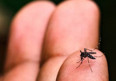 Praça Bernardino tem ação educativa contra a dengue hoje