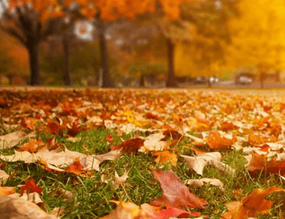 Outono começa com previsão de temperaturas acima da média