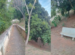 As bonitas ruas e avenidas de Itapira: a pracinha da rua Anacleto Magalhães Pereira