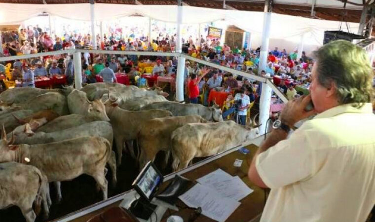 Leilão da APAE acontece no próximo dia 14 de setembro