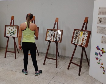 Exposição Metamorfoses: Borboletas, Clima e Existência estreia no Museu de História Natural