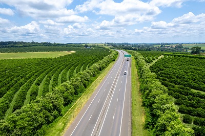 Intervias estima mais de 1,6 milhão de veículos em suas rodovias       