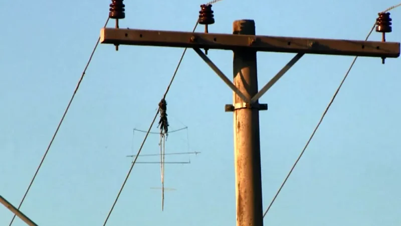 Interrupções de energia causadas por pipas chegam a sete em 2026