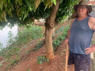 Dos trilhos às plantações: trecho da antiga ‘linha do trem’ vira horta urbana