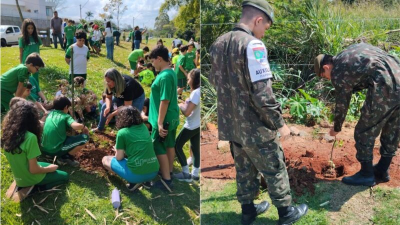 Meio Ambiente planta quase 70 árvores em comemoração ao Dia da Árvore
